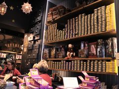 -九又四分之三站台哈利波特商店