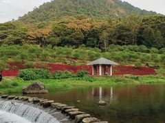 -广州市石门国家森林公园