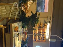 -东椰·海南椰子鸡火锅(朝阳门店)