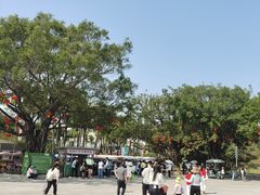 -海上田园