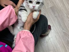 -悠尼宠物·独立低压伊珊娜洗护·美容·寄养(兰谷路店)