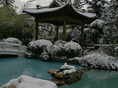 -曲江惠宾苑宾馆(大雁塔大唐不夜城店)