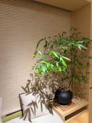 -Dr.林醫生产后修复·配方产康(南京江宁万达店)