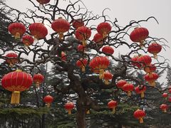 -香山公园
