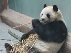 -青藏高原野生动物园