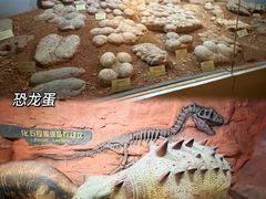 -河南自然博物馆