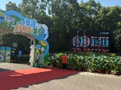 -上海海湾国家森林公园