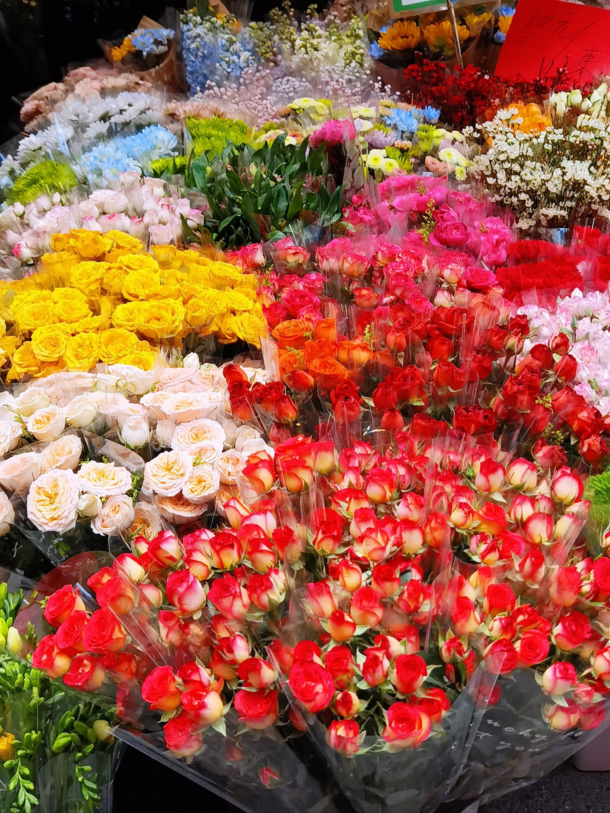 海卉花市丨一起感受春天的美好!