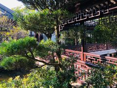 -杭州西子湖四季酒店-WL BISTRO西湖餐厅(灵隐路店)