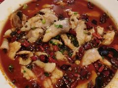 -东北王食府(科大店)