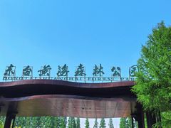 -黄海国家森林公园