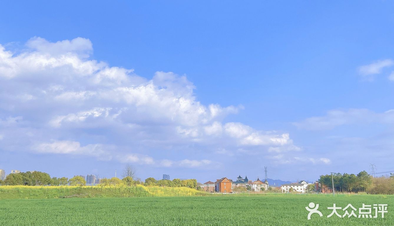 杭州“小镰仓”日系小众拍照地🚢感受2元坐船的快乐