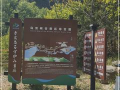 -百里山水画廊乌龙峡谷