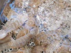 -77号渔船·蒸海鲜青岛菜(积米崖店)