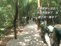 -梧桐山风景名胜区