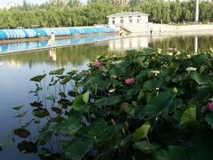 -党河风情线国家水利风景区