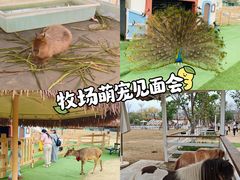-盈香心动乐园