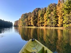 -上海海湾国家森林公园