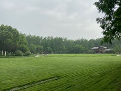 -合肥滨湖国家森林公园