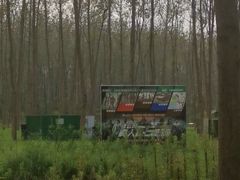 -合肥滨湖国家森林公园