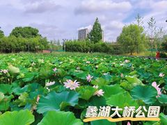 -蠡湖大桥公园