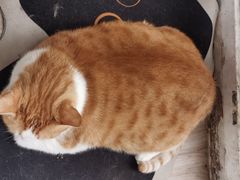 -小时光咖啡馆(北锣鼓巷店)