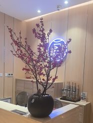 -恒美雅轩·品牌直营连锁