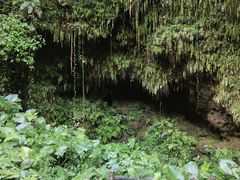 -海口火山口国家地质公园