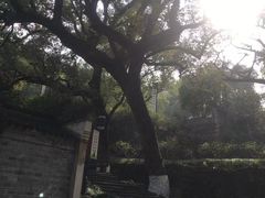 -宁波市保国寺古建筑博物馆