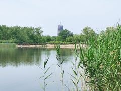 -永定河休闲森林公园