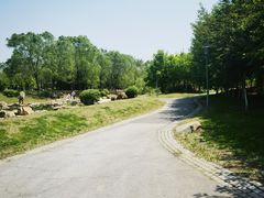 -莫子山公园
