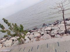 -福田红树林生态公园
