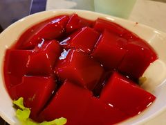 鲜鸭血-晓宇重庆火锅(赛格国际购物中心店)