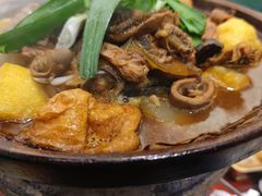 -沙胆彪炭炉牛杂煲(成都玉林店)