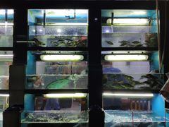 -全乐鱼馆·淳牌有机鱼直营店