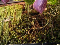 -HOME餐厅粤菜 融合菜