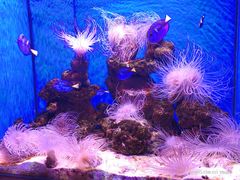 -多彩贵州城极地海洋世界