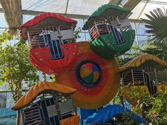 -南宫五洲植物乐园