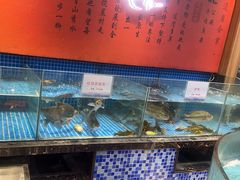 -肖记公安牛肉鱼杂馆·省级非物质文化遗产(万松园直营店)