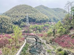 -四明山国家森林公园