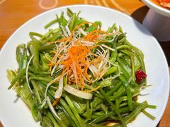 -菌自由丨野生菌火锅特色庭院餐厅(丽江古城店)