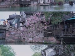 -乌镇景区