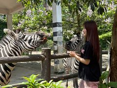 -贵州森林野生动物园