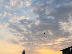 -泉城广场