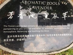 -广州从化都喜泰丽度假温泉酒店