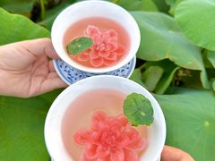 -七的湖·晚芳亭·阳澄湖农家菜·大闸蟹(莲花岛店)