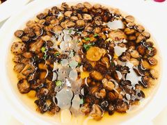 杂菌汤-老淳安—伴山伴湖(千岛湖开元度假村店)