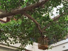 景观位-广州酒家(文昌总店)