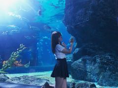 -暹罗海洋世界