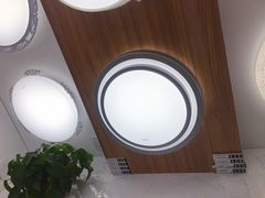-张士灯具城(家居优选店)